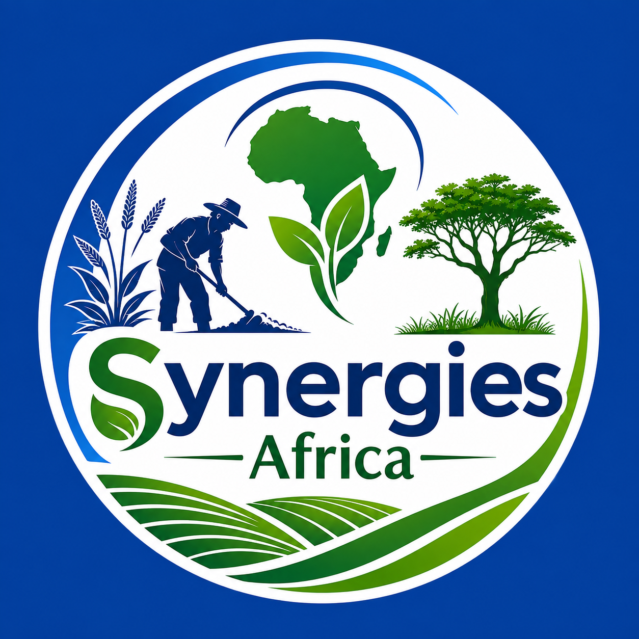 Logo Synergies Africa