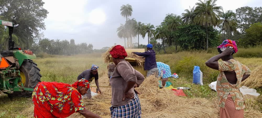 L’APICHI, L’ALLIE INATTENDU DES FEMMES DE BAKOUM