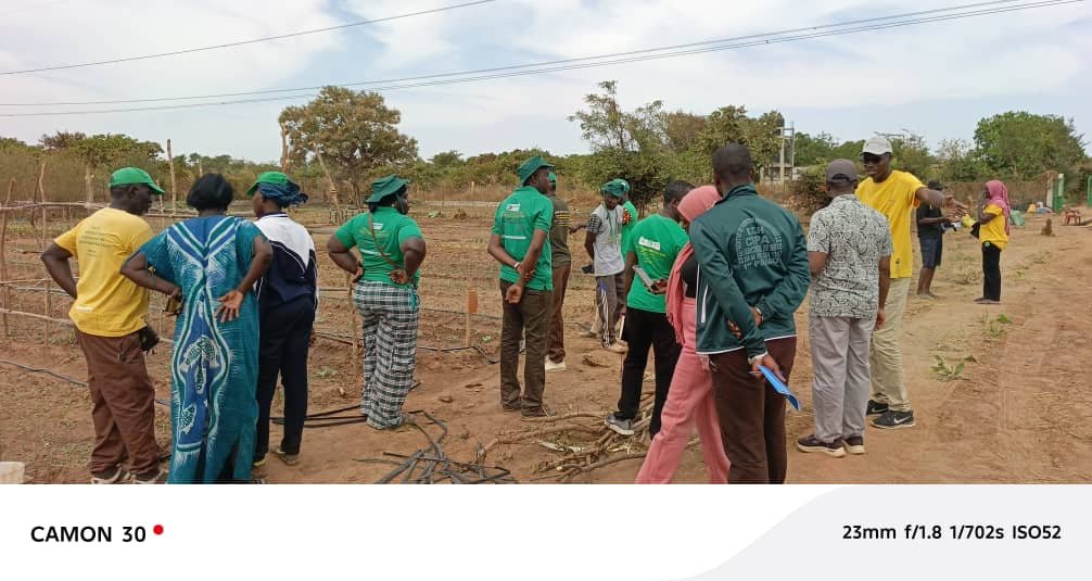 LUTTE POUR  LA SOUVERAINETE ALIMENTAIRE EN AFRIQUE - Image 4